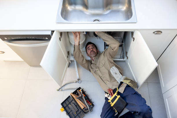Best Same-Day Plumbing Service  in George, IA